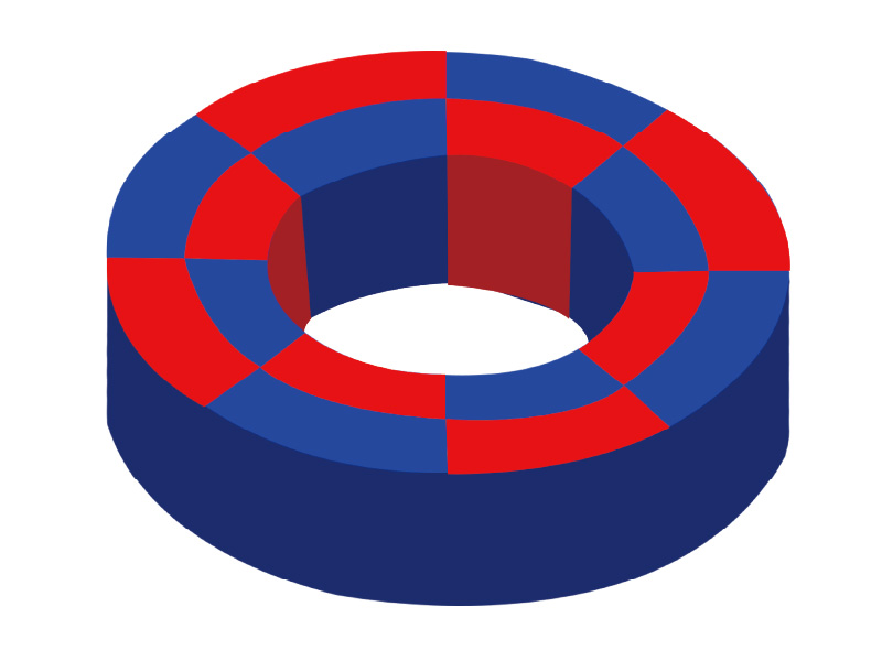 Multi-pole magnetic ring